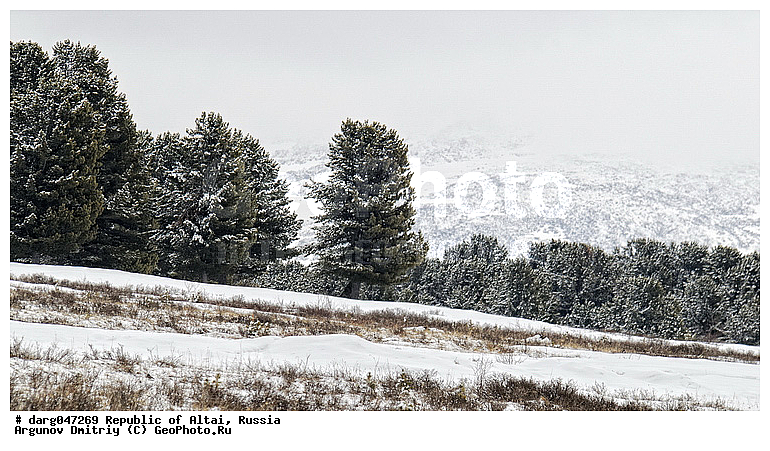 �����, ����������, ������, ���������, ���������, � �����, ������, ������, �������, �����������, ���, ������, �������, �������, ��������, ����, �����, �������, �����, ������, �����