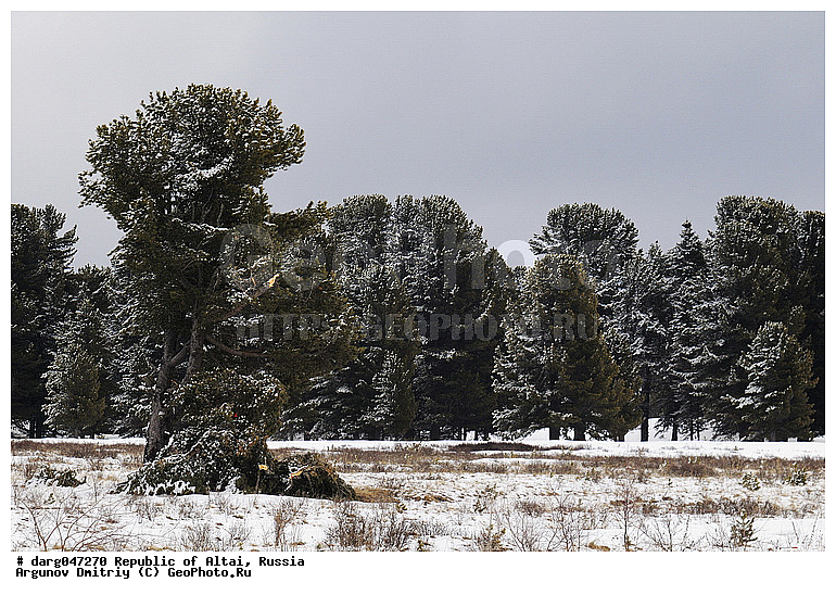 �����, ����������, ������, ���������, ���������, � �����, ������, ������, �������, �����������, ���, ������, �������, �������, ��������, ����, �����, �������, �����, ������, �����