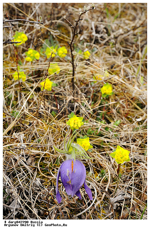 �����, �������� ������, �������, ���������, ������, ������, ������� ����, ������� ������, ������, ���������� �����, �����, �����, �����, �����, ������, �����, ��� ����� �������