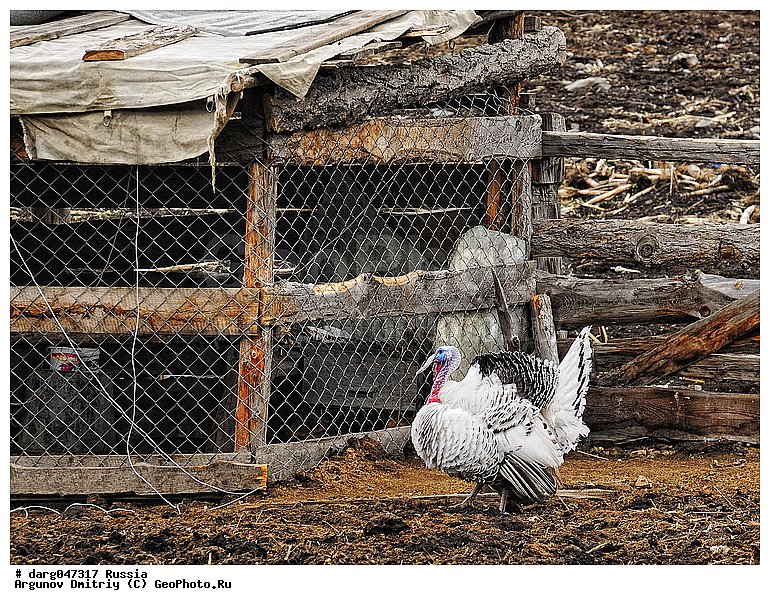 �����, �������� ������, ���������, ���������, ��������, ��������, �����, �����, ������, ��������, �����, �����, ���������� �����, �����