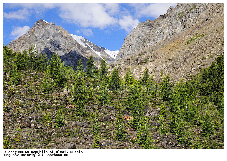 �����, �����, ����, �������� ������, ����������, ������, ���������, �������, ����, ������, ����, ������, ����, ���������, ���������� �����, ���������, ������, �����, ������