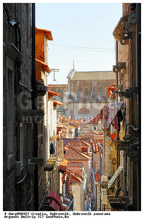 ���������, ���������, ����������� ����, ��������, ������ �����