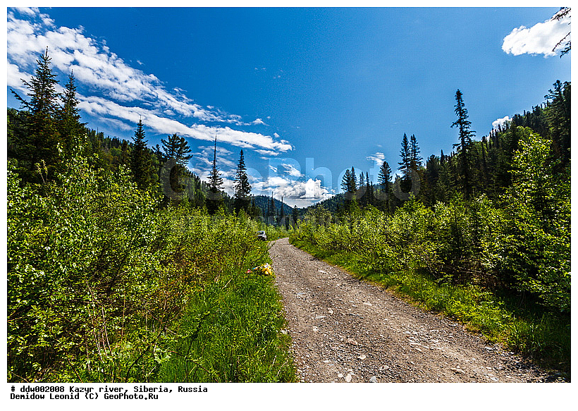 ������, ������, �����