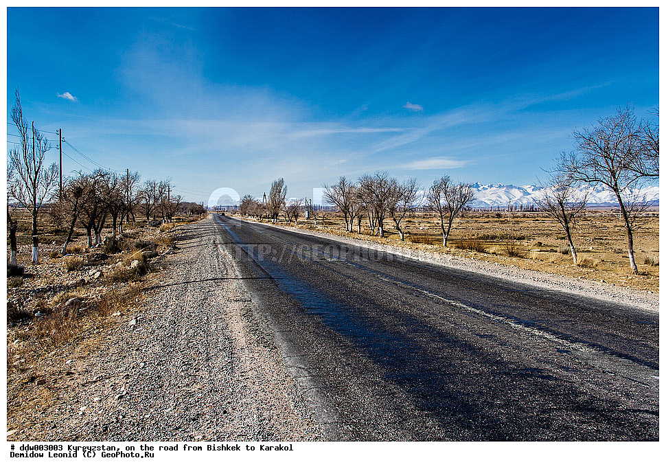 ��������, �������, ����������� ������, ������ ����