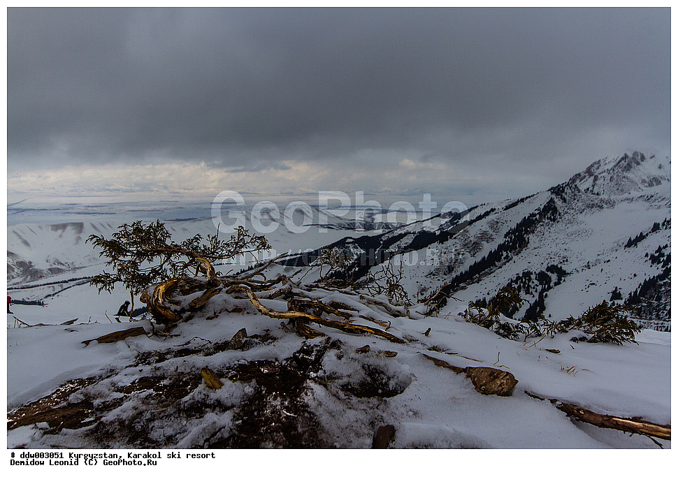 ��������, �������, ����������� ������, ������ ����