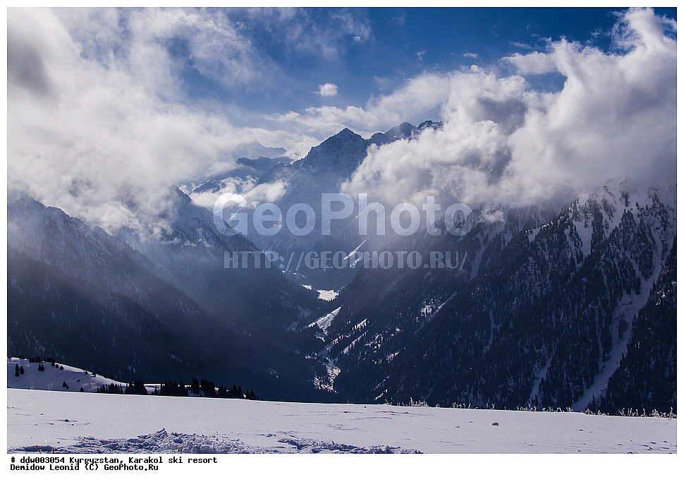 ��������, �������, ����������� ������, ������ ����