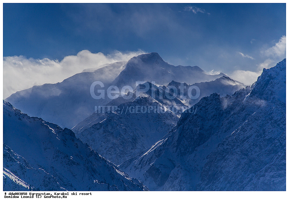 ��������, �������, ����������� ������, ������ ����