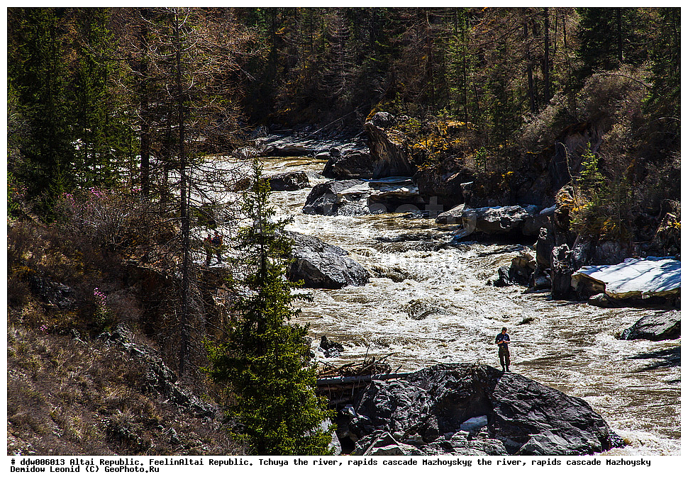  ��������� ����������, �����,  ���� ���, ��������� ������ �������