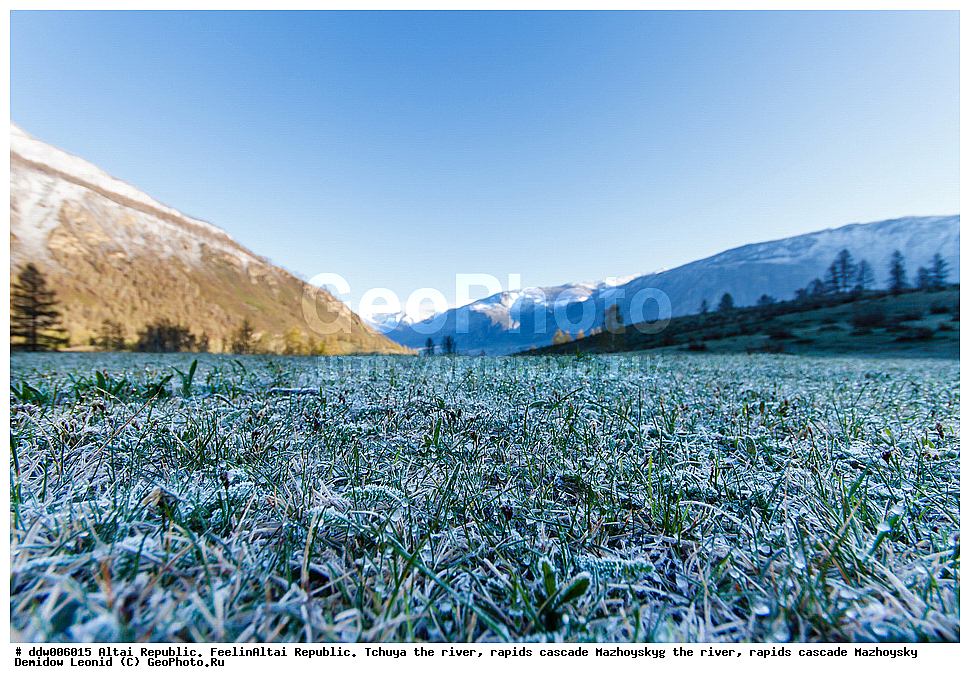  ��������� ����������, �����,  ���� ���, ��������� ������ �������