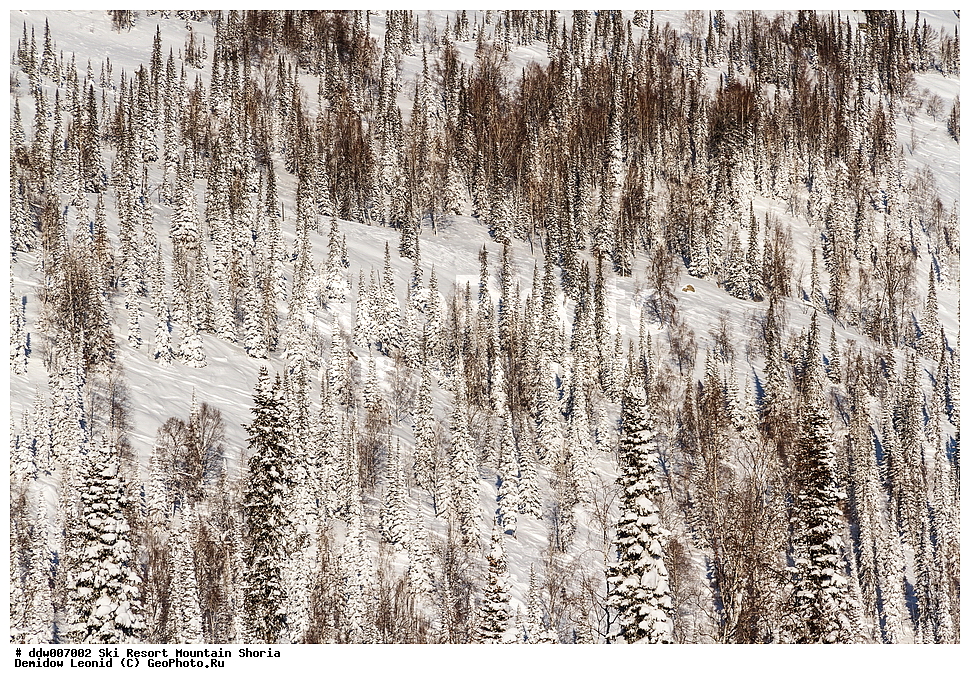 ����������� ������, ������ �����, ������������ �����, ����������� �������, ����, ������� �������