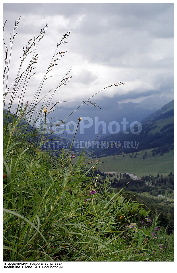 ������, �����, ���� �����