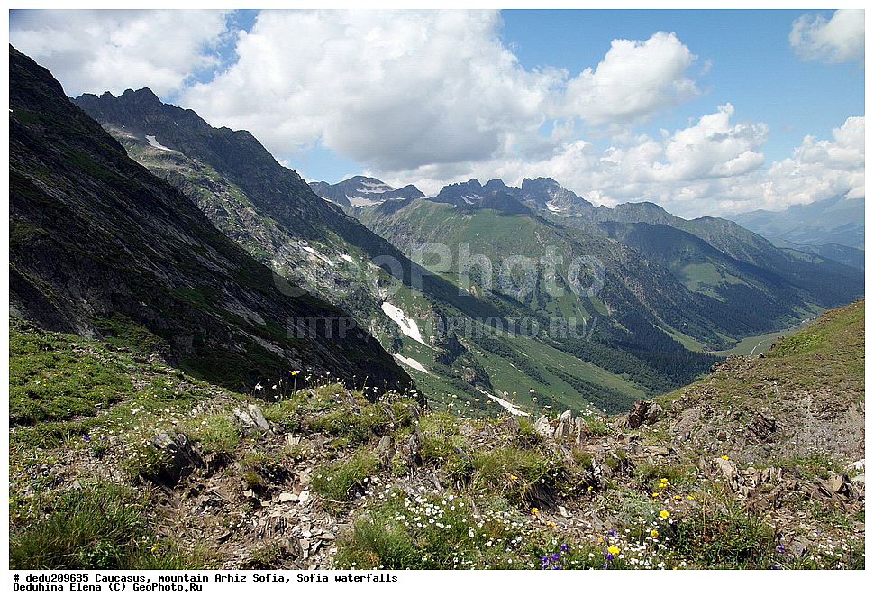 �����, ���������� ����, ��������� ��������, ���� �����, �����, ������
