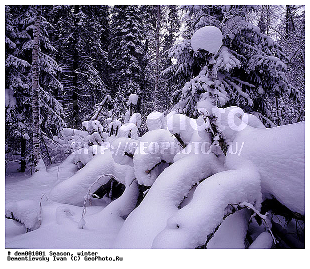 ������� ����, ����. ���������� �������. ������� ������ ������. ������ �����, �����������, ������, ����, ������� ������, ���������, �����, ��������, ������