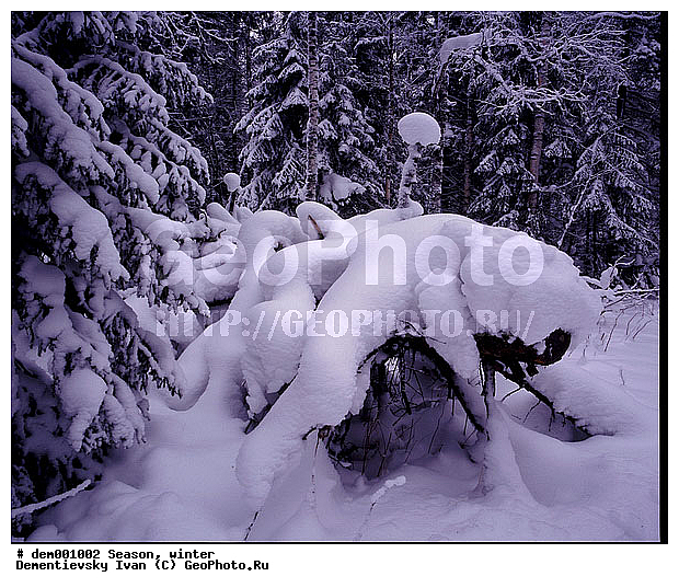 ������� ����, ����. ������� ����, ����. ���������� �������. ������� ������ ������. ������ �����, �����������, ������, ����, ������� ������, ���������, �����, ��������, ������