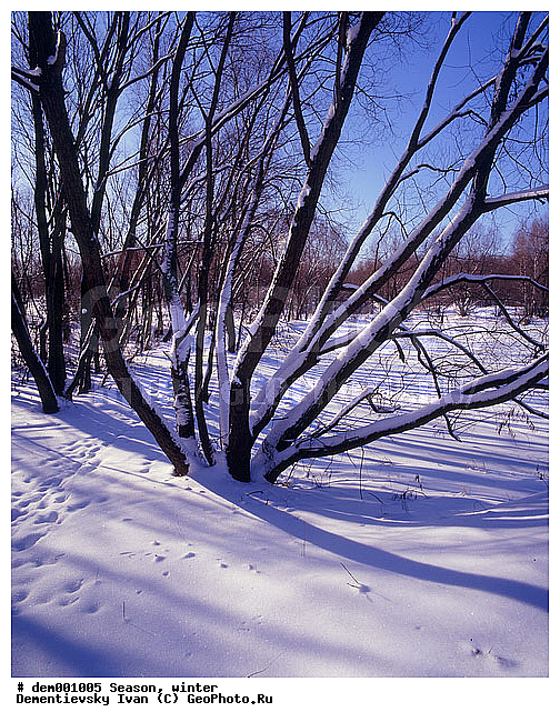 ������� ����, ����. ���������� �������. ������� ������ ������. ������ �����, �����������, ������, ����, ������� ������, ���������, �����, ��������, ������