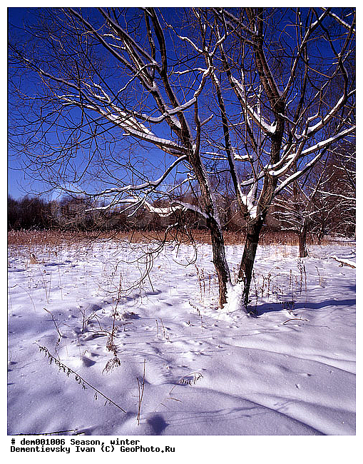 ������� ����, ����. ���������� �������. ������� ������ ������. ������ �����, �����������, ������, ����, ������� ������, ���������, �����, ��������, ������