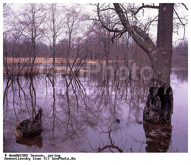 ������� ����, �����. ������������ �������. ��� � ����. �������� ������. ������. ����. �����. �����. ���������. ��������