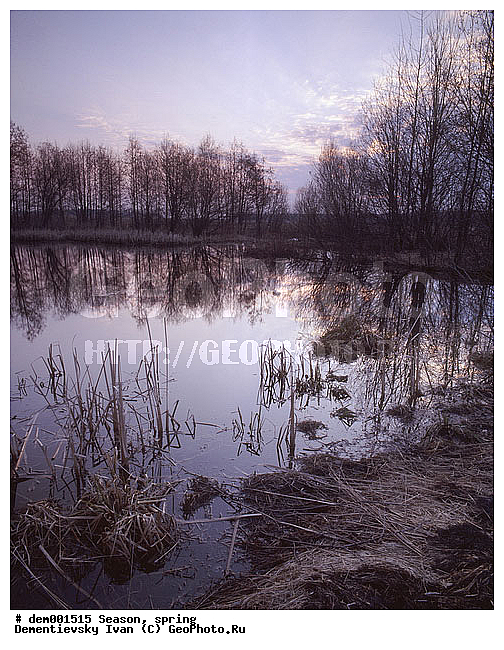 ������� ����, �����. �����. �������. �������� ������. �����. ������� ������ ������