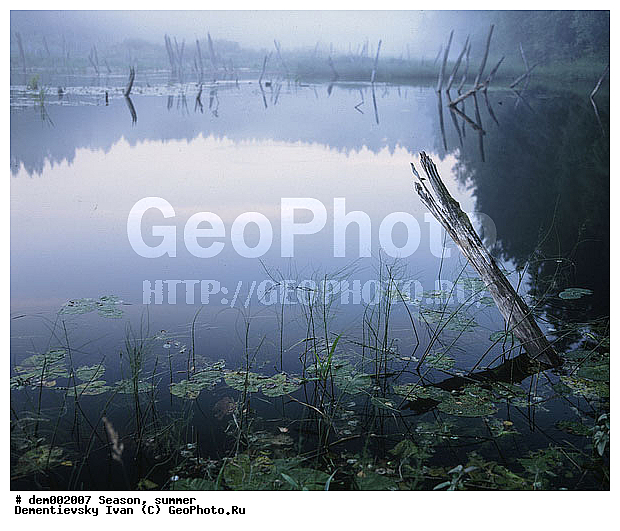 ������� ����, ����. ��������� �������. ���� �������. ������� ������ ������. �����. �������. �����. ������ ������