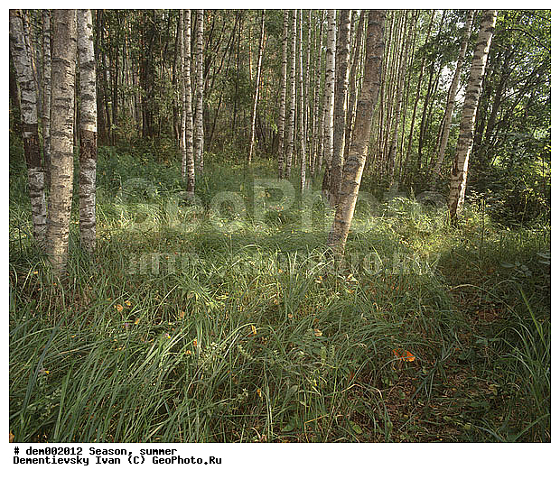 ������� ����, ����. ������ ���. �����. �������. ������ ������. ������� ������ ������. ��������� ����. ���������. ����� ���� �������