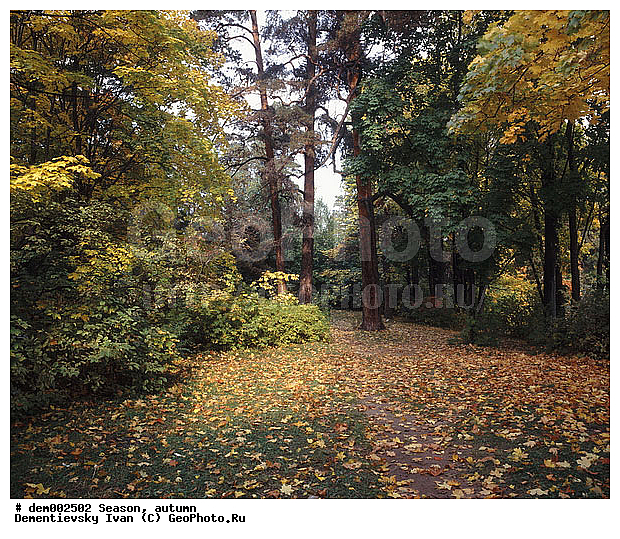 ������� ����, �����. �����������. ����. ����� � �����. ������� ������. ������� ������ ������