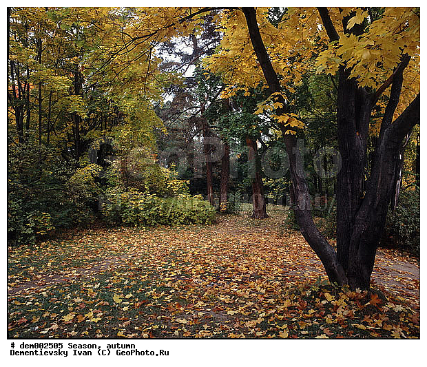 ������� ����, �����. �����������. ����. ����� � �����. ������� ������. ������� ������ ������