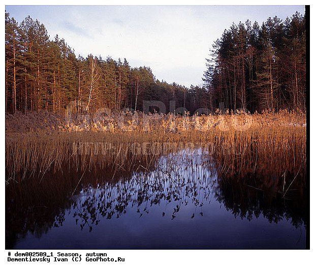 ������� ����, �����. �������. �������� ������. ����. ������. ������ ����. ��� ���������