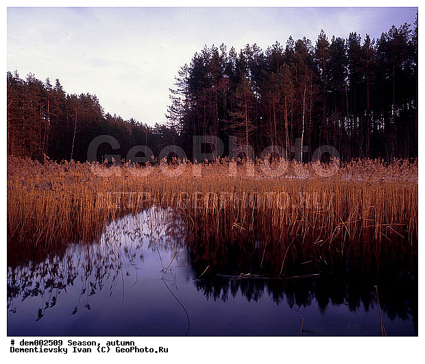 ������� ����, �����. �������. �������� ������. ����. ������. ������ ����. ��� ���������