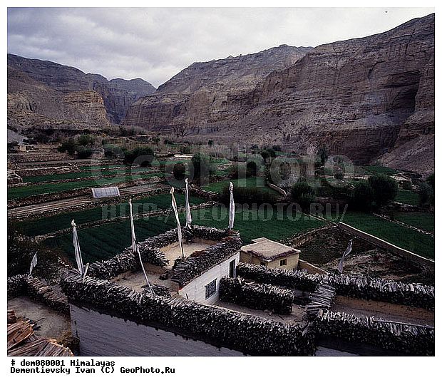 ����, �����, �������, �������, ��������� �����, �������, ������ ������, �������, ���, �����, ����������� ��, �����, �����������, ������, ������