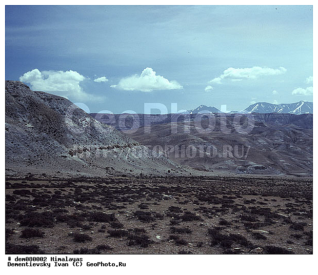 ����, �������, �������, ������