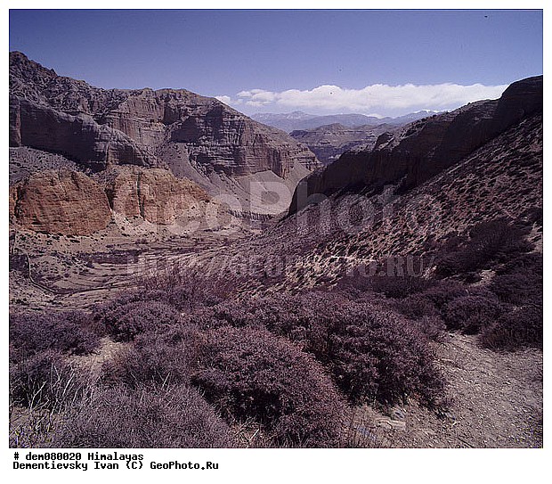 ����, �������, ����-�������, �������, ������, �����������, ����, ������, �����������, �����, �������, ������