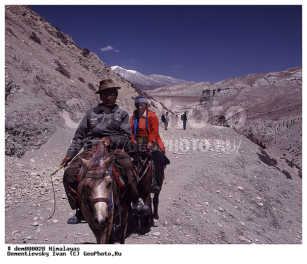 ����, ��������, �������, �������, ������������, �������, �����������, �����, ����������� ��, �����, �����������, ������, �������, �����