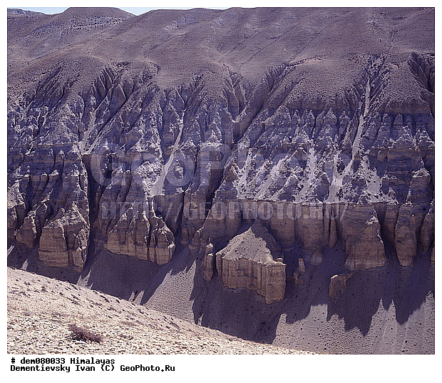 ����, �������, ����-�������, �������, ������������, ������, �����������, �������� ���������, ��������, ������, ����, ������, ������, �����������, ������, �����, �������, ������