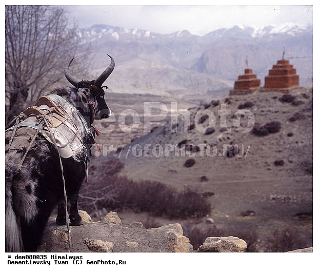 ����, �����, �������, �������, ���������, �������, ��������, �����, ���������, ����, �����, �����������, ������, �������, �����������, ������������, ��������, ��