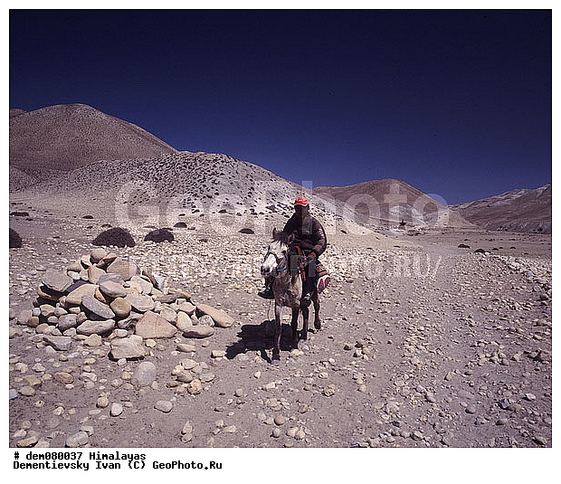 ����, ��������, �������, �������, ������������, �������, �����������, �����, ����������� ��, �����, �����������, ������, �������, �����