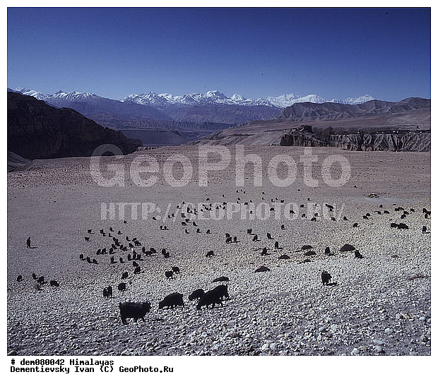 ����, �������, �� �������, �������, ��������, �����������, ������, ������. �������