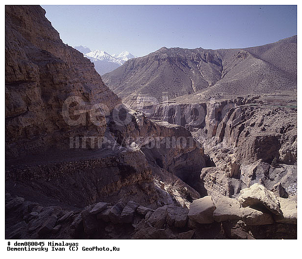 ����, �������, ����-�������, �������, ������, �����������, ����, ������, �����������, �����, �������, ������