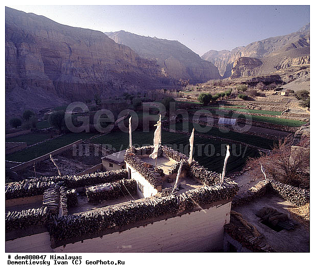 ����, �����, �������, �������, ��������� �����, �������, ������ ������, �������, ���, �����, ����������� ��, �����, �����������, ������, ������