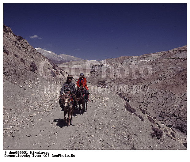 ����, ��������, �������, �������, ������������, �������, �����������, �����, ����������� ��, �����, �����������, ������, �������, �����