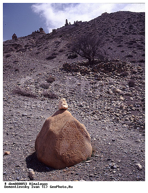 ����, �������, �������, �������, ���������, �������� ���������, ��������, ������, ������, ������, �������, ����������, ��������