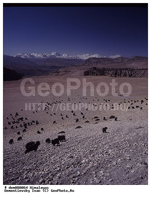 ����, �������, �� �������, �������, ��������, �����������, ������, ������. �������