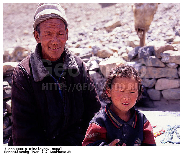 �������, �����, �������, ���������, ����, ����, �������, ������, �����