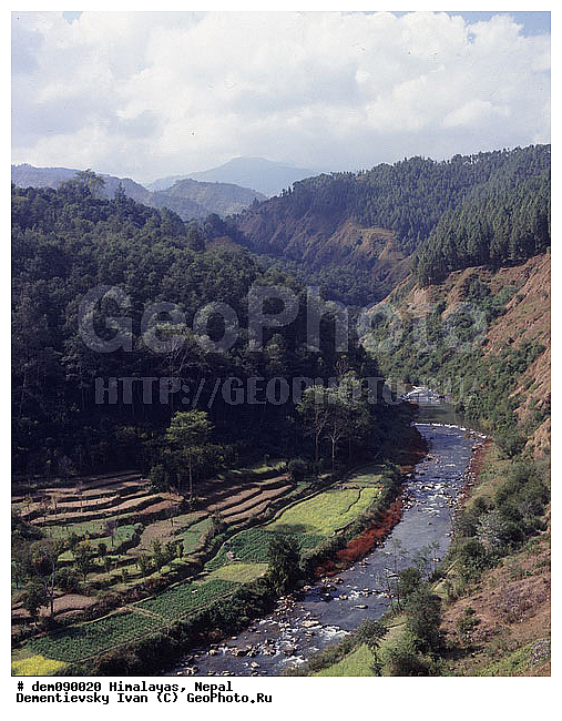 �������, �����, ����. ������ ��������. ������ ����, ������