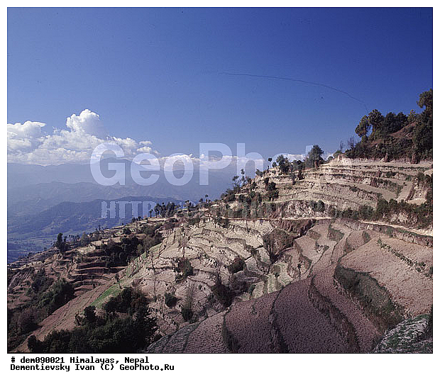 �������, ������ ������, ������ ��������, �����, ������� ����, �������, ��������, ����, ����, ��������, ������, ������