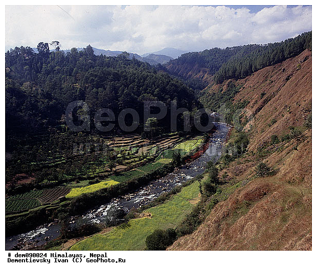 �������, �����, ����. ������ ��������. ������ ����, ������