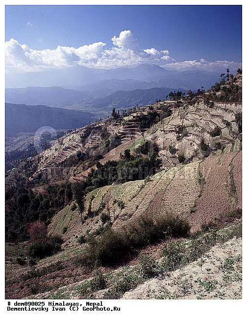 �������, �����, ����. ������ ��������. ������ ������. ������� ����, ������