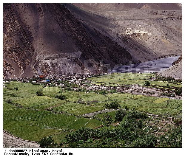 �������, ����-�������, �������, �����, �������, ���, ������ � �������, ����������� ��, ���������, �������, ����, ����� �������, ����, �������, ������, ������, �������, �������, ������, ������, �����, ����� ������ �������