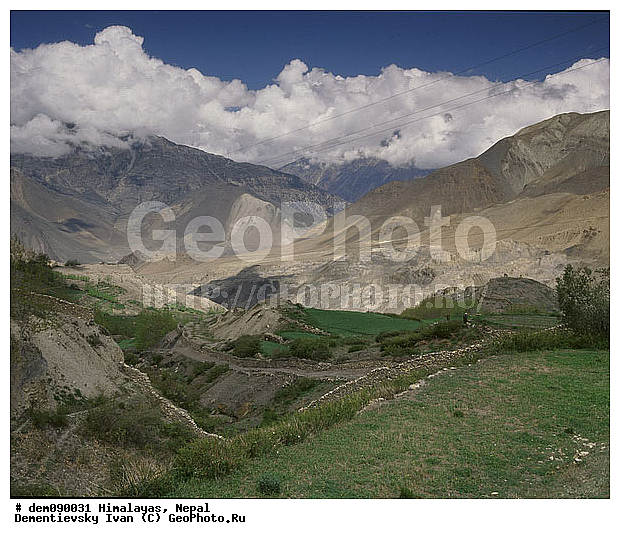 ��������, �������, �����, �������, �����������, ����, �����, �����, ����, ������ ��������, ����� ����, �������� �������, ������, ������ � �����, �������, �������, ����������, �������