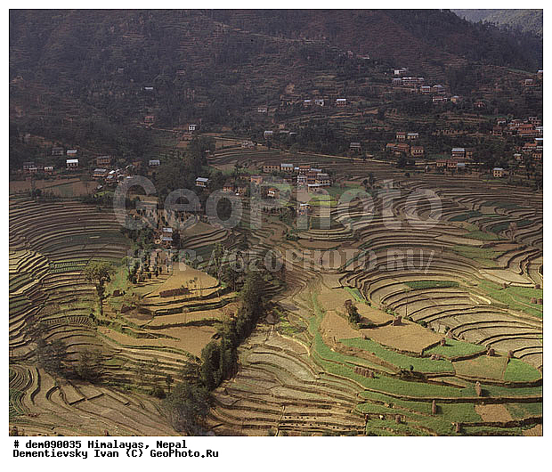 �������, �����, ����. ������� ����. ������ ��������. ����. �������. �����. �������, ��������, ������