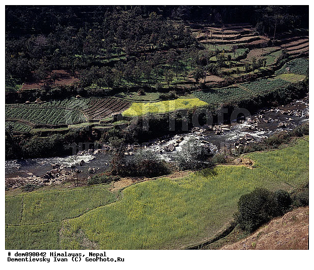 �������, �����, ����. ������ ��������. ������ ����, ������